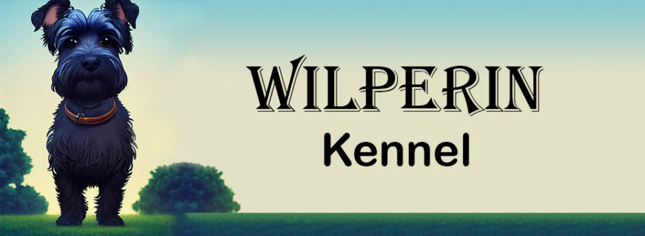 Wilperin Kennel